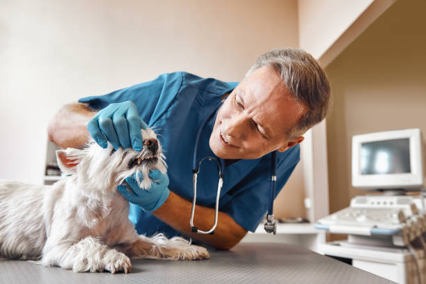 Best Same-Day Emergency Dental Services in Ledgewood, NJ